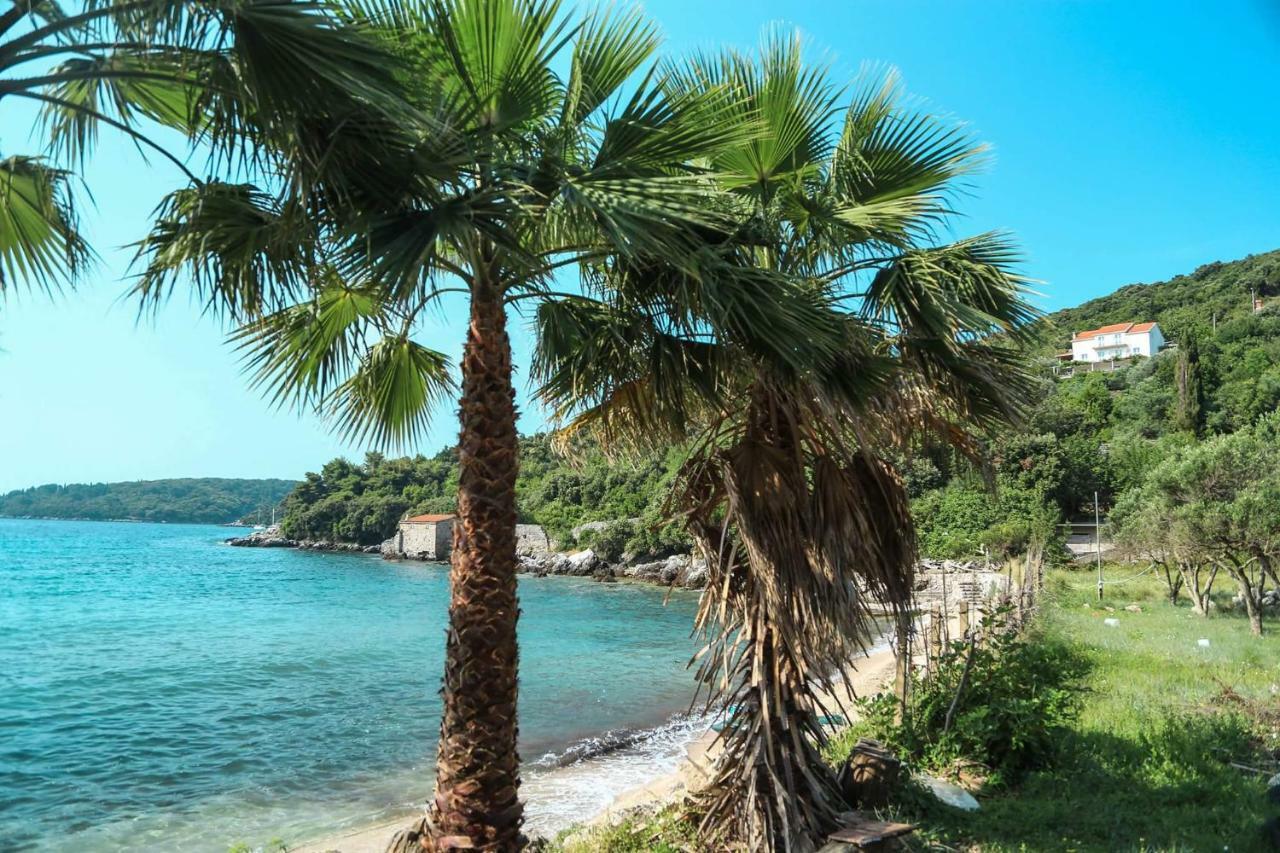Marivo Guest House Molunat Εξωτερικό φωτογραφία