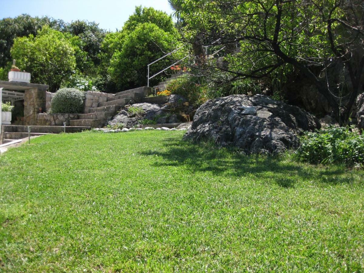 Marivo Guest House Molunat Εξωτερικό φωτογραφία