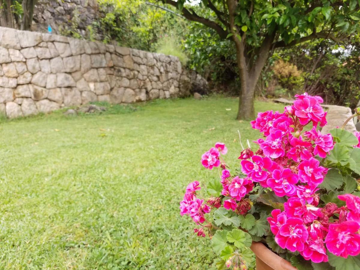 Marivo Guest House Molunat Εξωτερικό φωτογραφία