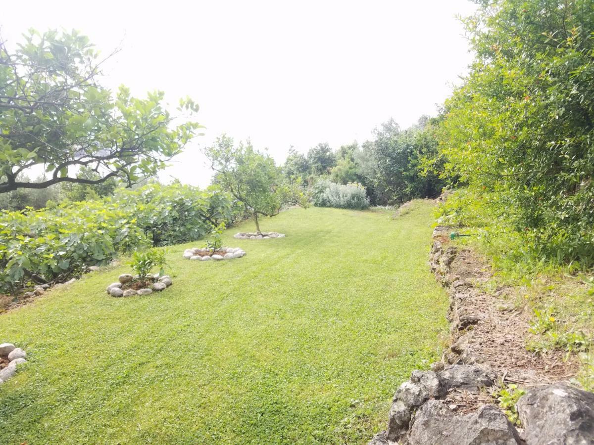 Marivo Guest House Molunat Εξωτερικό φωτογραφία