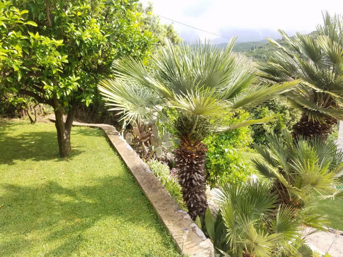 Marivo Guest House Molunat Εξωτερικό φωτογραφία